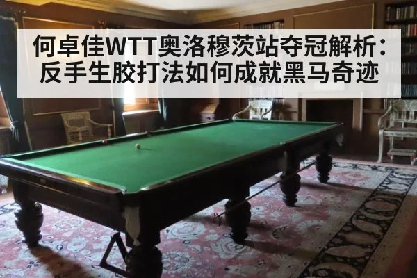 何卓佳WTT奥洛穆茨站夺冠解析:反手生胶打法如何成就黑马奇迹